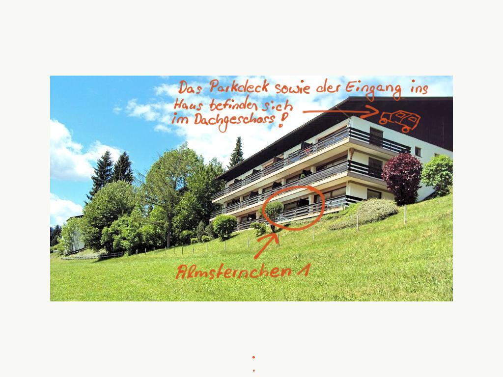 Almsternchen 1